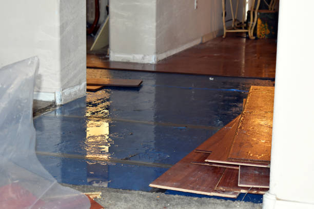 Professional Storm Water Damage Restoration technician working in Pleasant Hill, TX